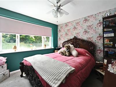 Picture 10